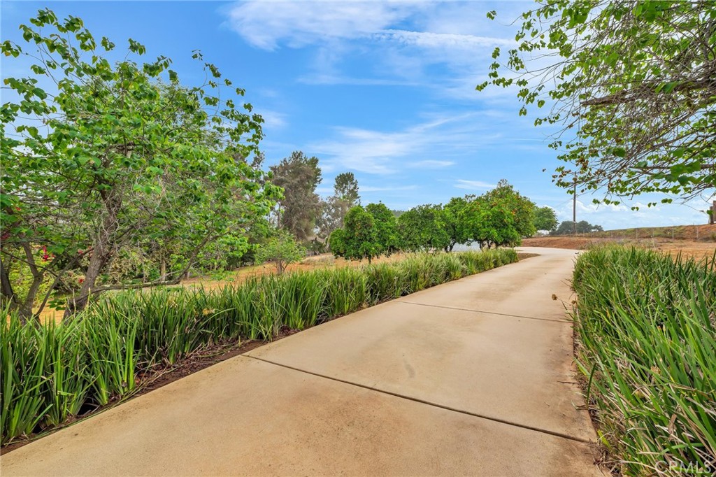 1507 Green Canyon Road, Fallbrook — photo 3